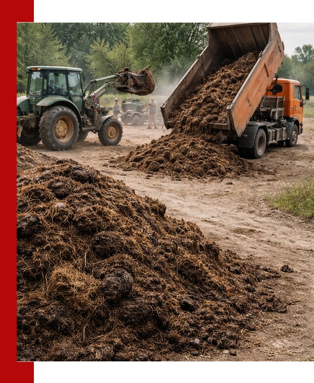Доставка навоза самосвалами в Канаше для сельхозпотребностей
